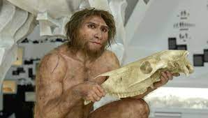 Seine miene veränderte sich schlagartig. So Jagte Und Lebte Der Homo Heidelbergensis Der Lowe