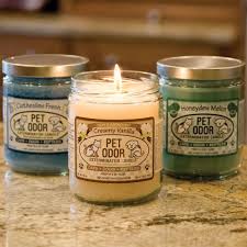 I highly recommend buying pet odor exterminator candles from pet. Pet Odor Exterminator Candles Cat Stain Odor Control Supplies For Sale Online Petsolutions Pet Odors Pet Odor Eliminator Pets