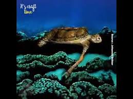 ثنا سعيد، عن قَتادة، عن الحسن قوله: Ø§Ù„ØµØ­ÙÙŠØ© Ø§Ù„Ù…ØºØ±Ø¨ÙŠØ© ÙØ§Ø·Ù…Ø© Ø§Ù„Ù…ÙˆÙ…Ù† Youtube