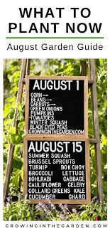 Jul 08, 2020 · for instance, if snap beans mature in 55 days and your frost date is october 21, you should plant on or before august 9. Arizona Garden In August Growing In The Garden Arizona Gardening Florida Gardening August Garden