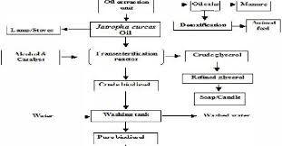 process flow chart for biodiesel download scientific diagram