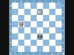 You can with the king in support of the queen checkmate/capture an opponent's king thus winning the game. Chess Endgame King And Queen Youtube