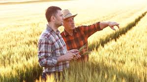Cand se fac platile apia pentru anul 2011? SubvenÈ›iile Apia Cum Se AcordÄƒ È™i Cine BeneficiazÄƒ De Ele Basf Agricultural Solutions Romania