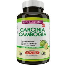 Natural Genius 100 Pure Garcinia Cambogia Extract Max 95 Hca Weight Loss Supplement Capsules 180 Count Walmart Com Walmart Com