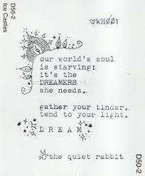 the quiet rabbit