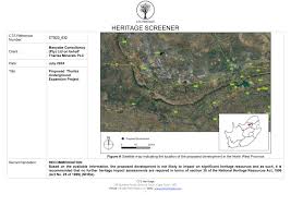 Image result for Adenostemma afrum