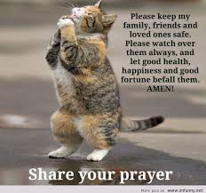In this blog you will find some very lovely quotes for friday that will empower your spirit and bring good blessings to you. Animal Family Quotes Quotesgram