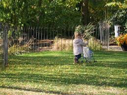 Kindersicherer Teichzaun Im Garten Ich Haben An Einem Tag Die Gartenteiche Mit Den Einzelnen Staben In Der Lange Von 20m Eingezaunt Wi Mit Bildern Teich Zaun Gartenteich