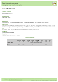 Image result for Dolichos trilobus