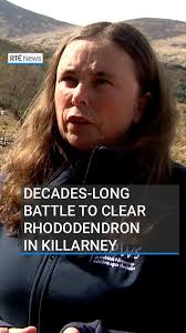 Croagh Patrick Path Project...