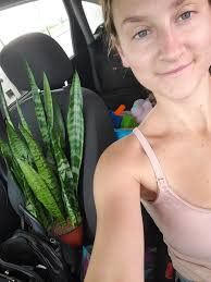 My new snake plant 🪴 I just bought at Walmart. Was hiding behind a few  other plants 🌱