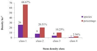 Image result for Discopodium penninervium