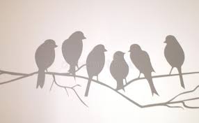 Bird On A Wire Movie Netflix Bird On A Wire Half A Dozen Birds Sit On A Branch And Discuss The Day S Happeni Sponsored Doze Stock Images Fruit Nutrition Facts Composition Photography