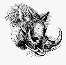 Dewasa dapat mencapai 1 meter panjangnya dan berat. Free Clipart Of A Boar Gambar Kepala Babi Hutan Free Transparent Clipart Clipartkey