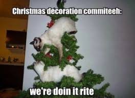 We Are Closely Reaching To 25th December And It Is The Time That All Of Us Waiting For Funny Merry Christmas Memes Merry Christmas Funny Christmas Memes Funny