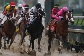 The key is to discover questions that you know the students will need to answer rapidly but that does not take up a lot of time. 26 Fun Facts About The Kentucky Derby What To Know About Derby Day