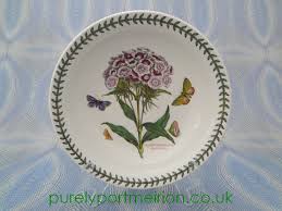 Vintage Portmeirion Botanic Garden 8 5 Inch Pasta Bowl Sweet William Design By Susan Williams Ellis Buy From Purely Por Plates Portmeirion Botanical Gardens