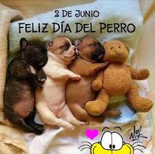 Cuando es en este este año y el próximo. Gaturro 2 De Junio Dia Del Perro Feliz Dia Perritos Facebook