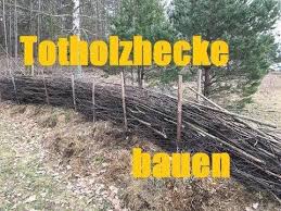 Bauen Mit Totholz Totholzhecke Und Rankgeruste Youtube Gartenarbeit Hecke Garten