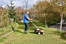 Beschäftigt sich der gärtner zum ersten mal mit dieser speziellen pflegemaßnahme, steht die frage nach dem richtigen zeitpunkt im raum. Vertikutieren So Machst Du Es Richtig Willkommen In Franks Kleinem Garten