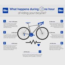 What Happens During One Hour Of Riding Your Bicycle Fahrrad Fahren Zitate Zum Thema Fahrradfahren