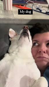 BETH INGRAM (@focusedbybeth)