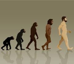Walking Upright: The Cost of Human Evolution - The University of Auckland
