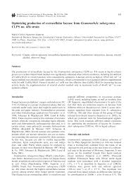 Image result for Indigofera subargentea