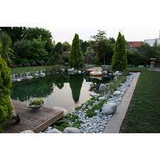 Poissons pour bassin relativement résistants. Bache Epdm Pour Piscine Et Piscine Naturelle Feutre 400g Expert Bassin