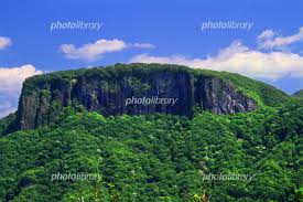 フォトライブラリー