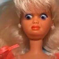 A Fatal Lie: A True Story of Betrayal and Murder in the New South by Sally  Chew