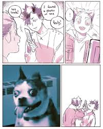 All orders are custom made and most ship worldwide within 24 hours. Mookie On Instagram Does Bokuto Look Like This Dog Or Does The Dog Look Like Bokuto Haikyuu Anime Anime Haikyuu Fanart