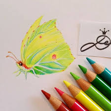 Gefallt 52 Mal 7 Kommentare Deni Denitza Gruber Denitzagruber Auf Instagram Heute War Ich Ein Zit Buntstiftzeichnungen Tiere Zeichnen Zeichnen Lernen