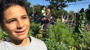 Syrians invited to help tend Halifax community garden