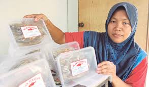 1 kg sekitar udang (bersih), secukupnya garam, sepiring nasi putih. Kelainan Ikan Pekasam Fadilah
