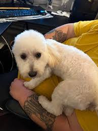 Michelle Amparan's Instagram, Twitter & Facebook