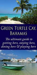 98 Best Green Turtle Cay Bahamas Images In 2019 Green