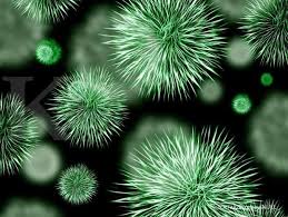 Mengenal Norovirus Yang Serang China Selain Virus Corona