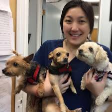 Maybe you would like to learn more about one of these? Meet The Veterinary Staff Irving Pet Hospital Sf Vet