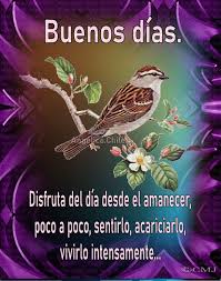We did not find results for: Suenos De Amor Y Magia Buenos Dias Y Una Gran Manana