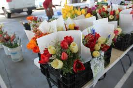 Maybe you would like to learn more about one of these? Fresh Flowers Picture Of State Farmers Market Raleigh Tripadvisor