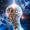 Story image for Artificial Intelligence from openPR (press release)