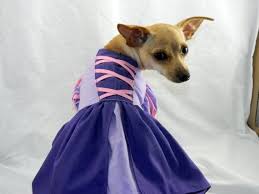 Rapunzel Princess Dog Costume Xxs M Etsy Princess Dog Costume Princess Dog Dog Costume
