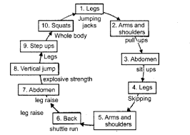 Learn about circuit diagram topic of physics in details explained by subject experts on vedantu.com. Define Circuit Training Draw The Diagram Of Ten Stations Cbse Class 11 Physical Education Learn Cbse Forum