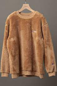 You Ve Never Seen A Champion Hoodie This Fluffy Before Sherpa Fleece Hoodie Champion Hoodie Fall Outfits