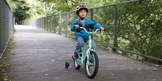 Community site for fans of animal crossing of all ages. Cycling With Kids Carriers Attachments Rei Co Op