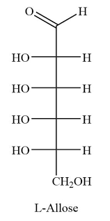 Which is an example of a fischer projection? Draw The Fischer Projection Of The Open Chain Form Of L Allose Study Com