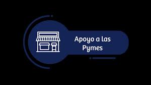 Ya se puede ingresar a www.sii.cl, para postular al bono de alivio a las pymes. Y Que Pasa Con Quienes No Tienen Cuenta Empresa Para Solicitar Bono Alivio A Las Pymes Youtube