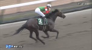 過去のユニコーンステークス 2020年6月21日 3回東京6日目 3歳オープン (国際)(指)(別定) 結果/払戻 掲示板 着 順 枠 番 馬 番 馬名 性齢 斤量 騎手 タイム 着差 ﾀｲﾑ 指数 通過 上り 単勝 人 気 馬体重 調教 ﾀｲﾑ 厩舎 ｺﾒﾝﾄ 備考 調教師. R2aen7joi 0j1m