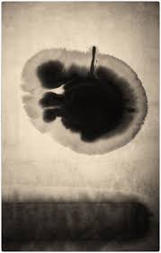 Albarran Cabrera Instagram Japan 2013 Platinum Palladium Print Instagram Art Watercolor And Ink Modern Artists